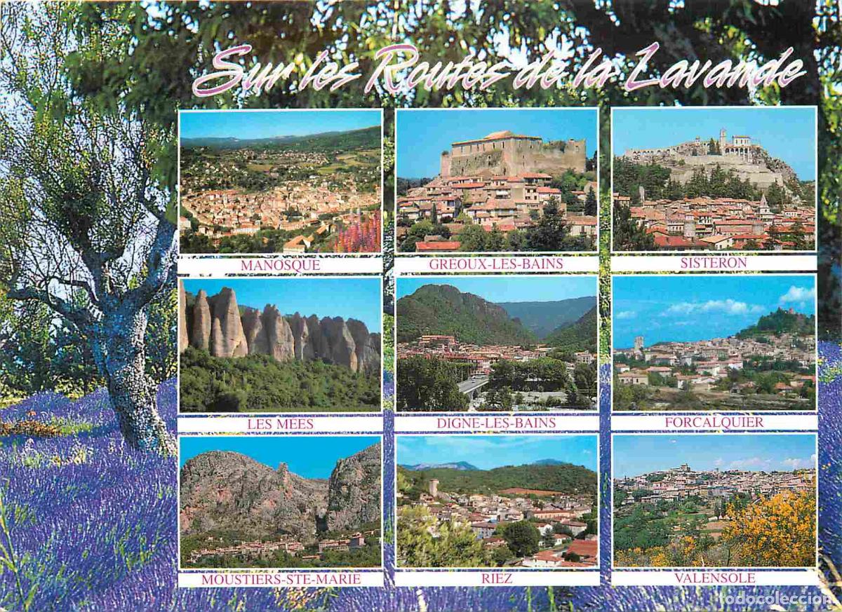 Cartoline: Francia - Carte Postale - 04 - Manosque - Sur les routes de la lavande - Multivues - Manosque Gr&eacute;ou