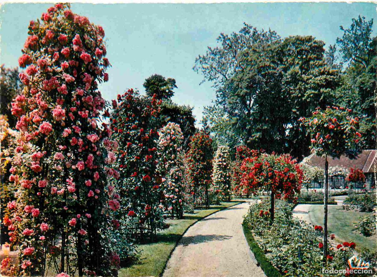 Postkarten: Francia - Carte Postale - 94 - L'hay-les-roses - La roseraie - Fleurs - CPM - Voir Scans Recto-Verso