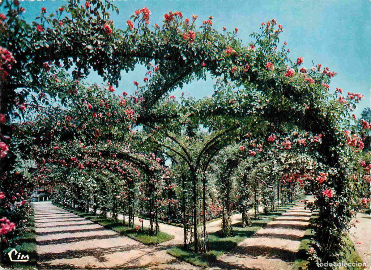 Postkarten: Francia - Carte Postale - 94 - L'hay-les-roses - La roseraie - Fleurs - CPM - Voir Scans Recto-Verso
