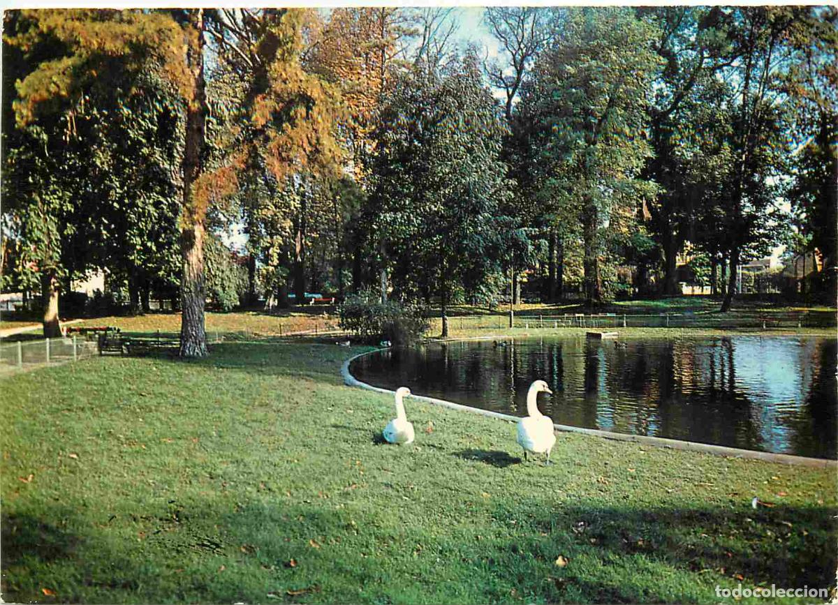 Postkarten: Francia - Carte Postale - 94 - Vitry-sur-seine - Le parc - Cygnes - CPM - Voir Scans Recto-Verso