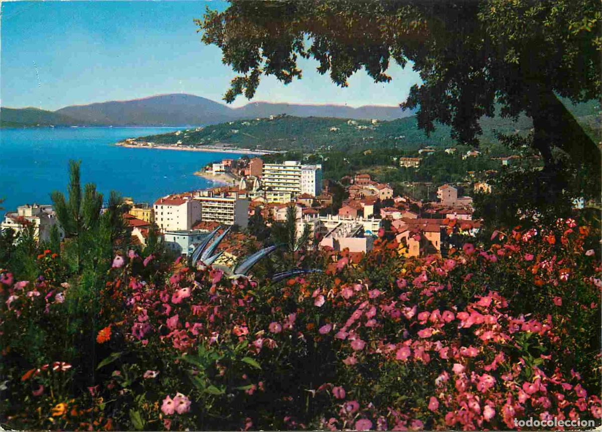 Postcards: Francia - Carte Postale - 83 - Sainte Maxime - Vue g&eacute;n&eacute;rale - CPM - Voir Scans Recto-Verso