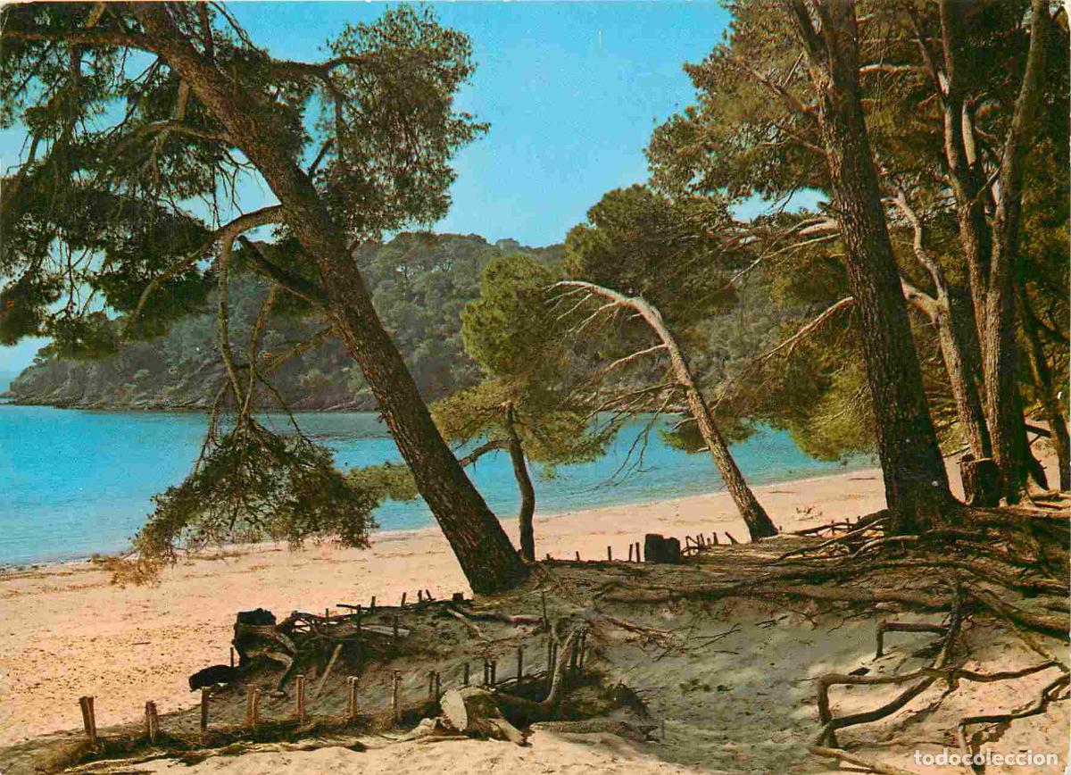 Postcards: Francia - Carte Postale - 83 - Bormes les Mimosas - Plage de l'estagnol - CPM - Voir Scans Recto-Ver