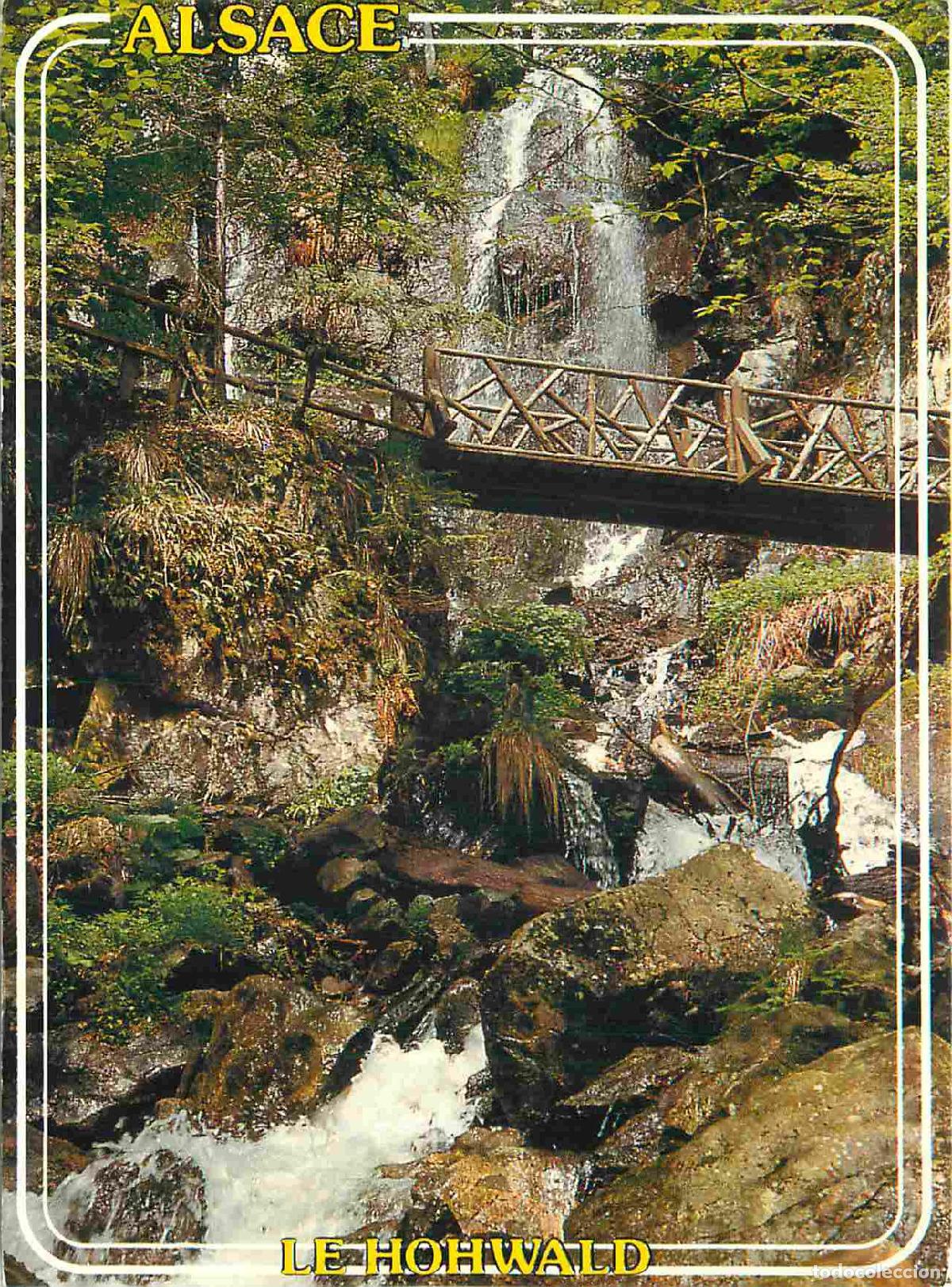 Postkarten: Francia - Carte Postale - 67 - Le hohwald - Cascade du hohwald - CPM - Voir Scans Recto-Verso