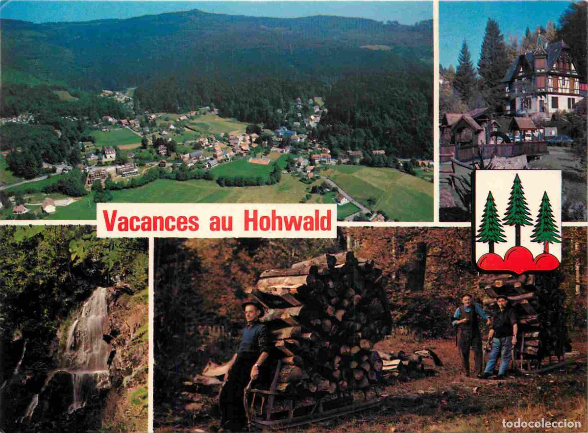Postkarten: Francia - Carte Postale - 67 - Le hohwald - Multivues - Blasons - Bois - CPM - Voir Scans Recto-Vers