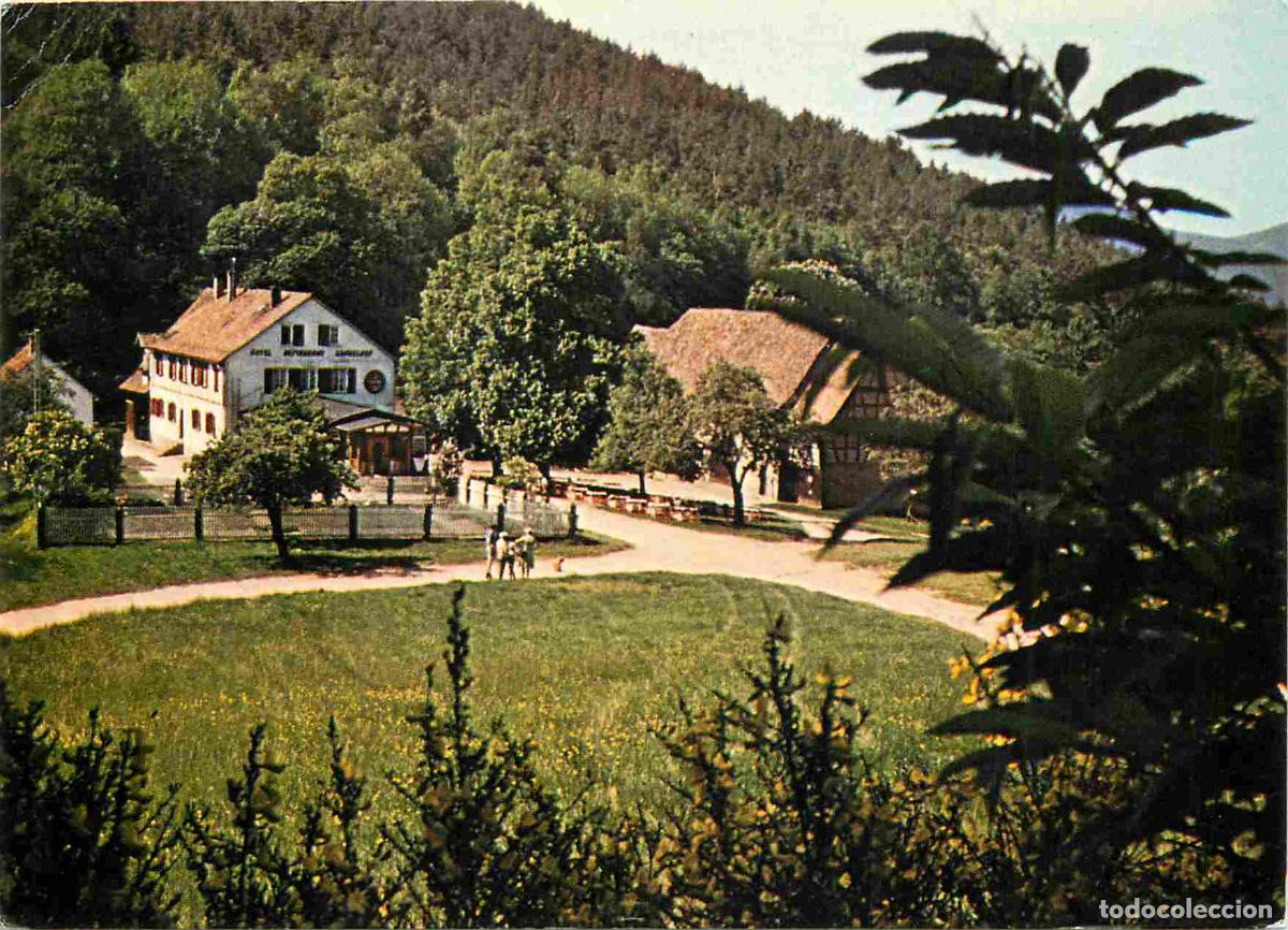 Postkarten: Francia - Carte Postale - 67 - Lembach - H&ocirc;tel-restaurant Gimbelhof - CPM - Voir Scans Recto-Verso
