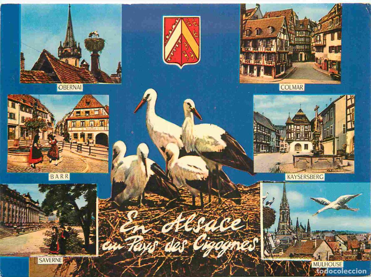 Postcards: Francia - Carte Postale - 67 - Alsace - au pays des cigognes - Multivues - CPM - Voir Scans Recto-Ve