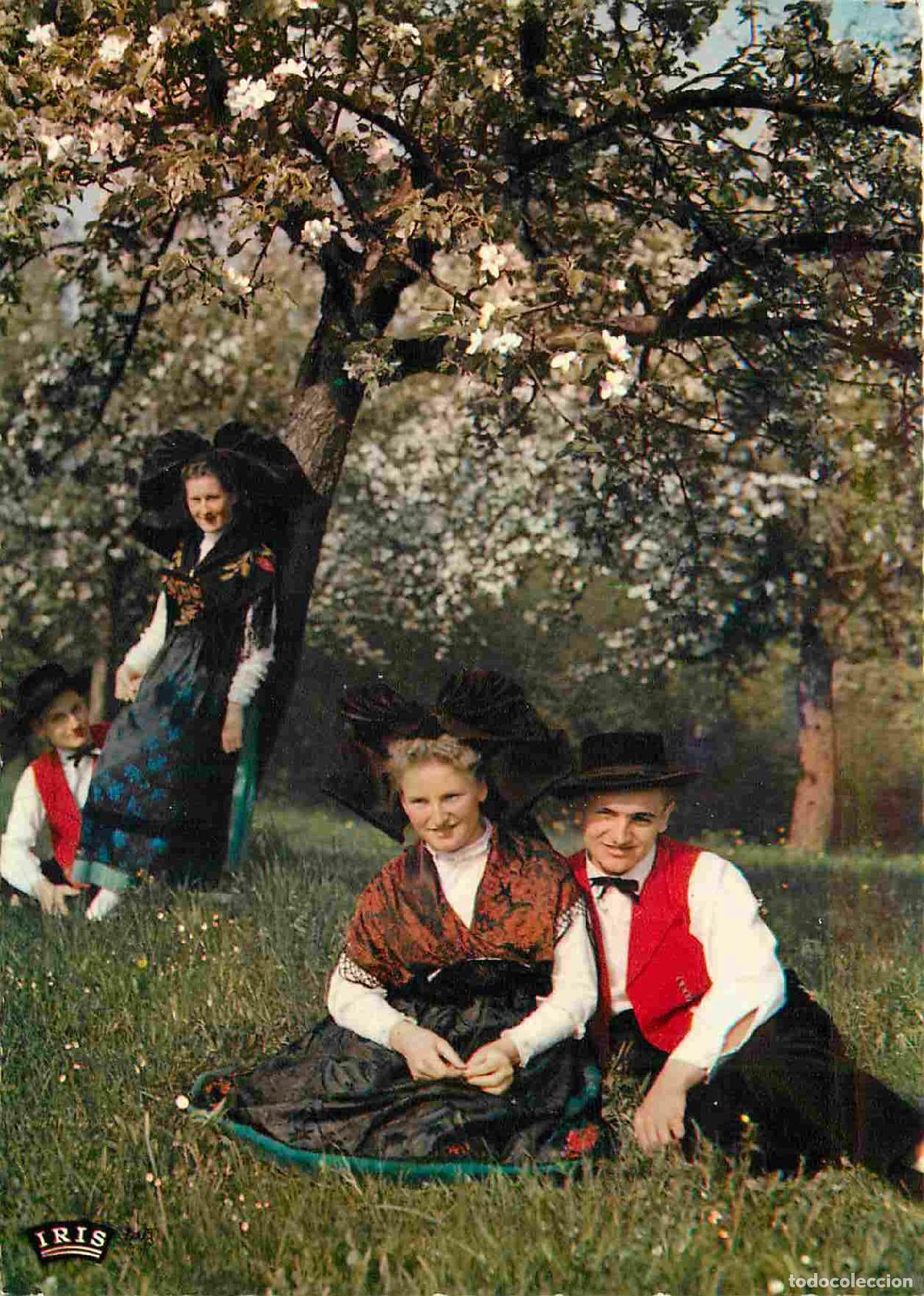 Postcards: Francia - Carte Postale - 67 - Alsace - Printemps fleuri - Folklore sc&egrave;ne et type - CPM - Voir Scans