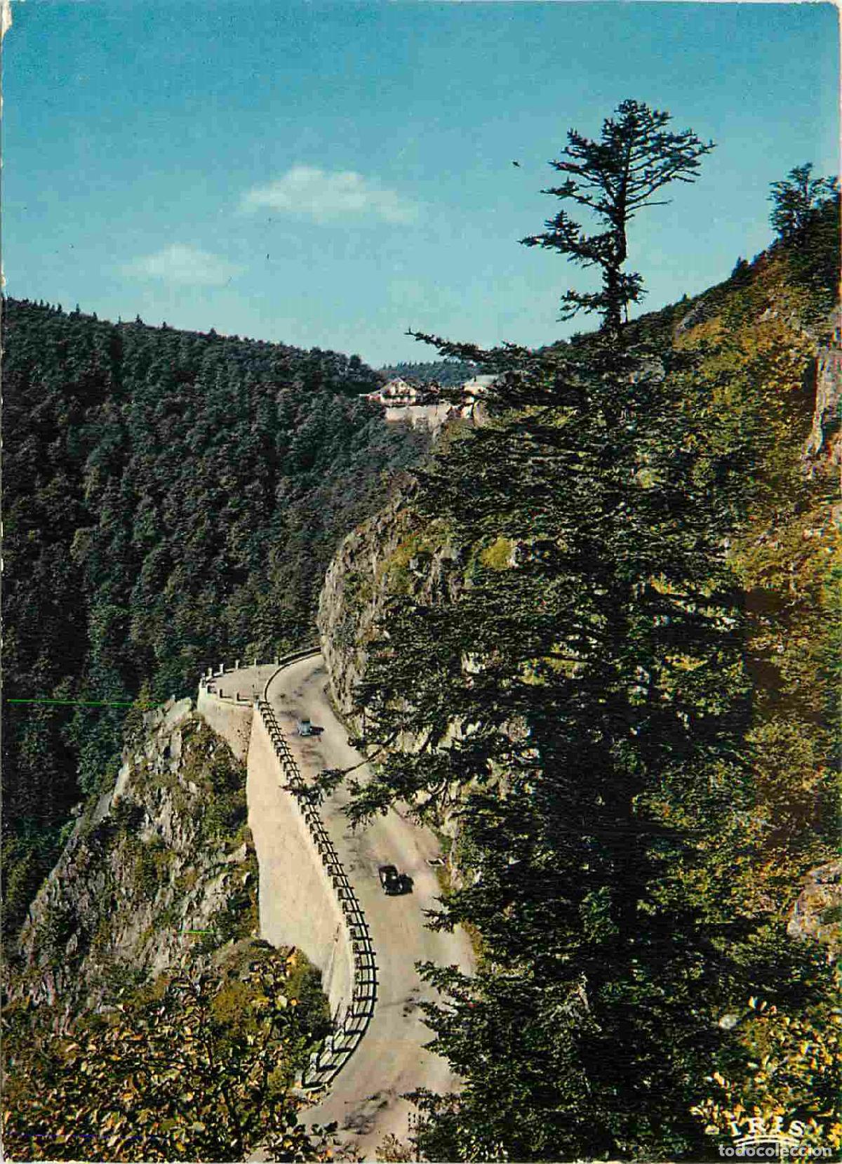 Cartoline: Francia - Carte Postale - 68 - Haut-rhin - Les Hautes-Vosges - La route de Munster &agrave; la Schlucht - C