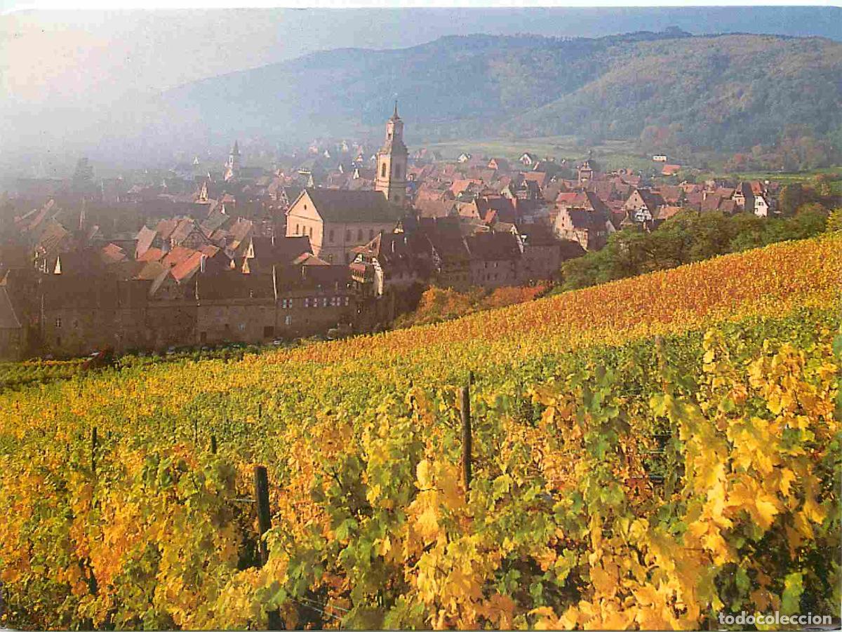 Cartoline: Francia - Carte Postale - 68 - Riquewihr - Pays viticole de Riquewihr - Vue du Schoenenbourg - Grand
