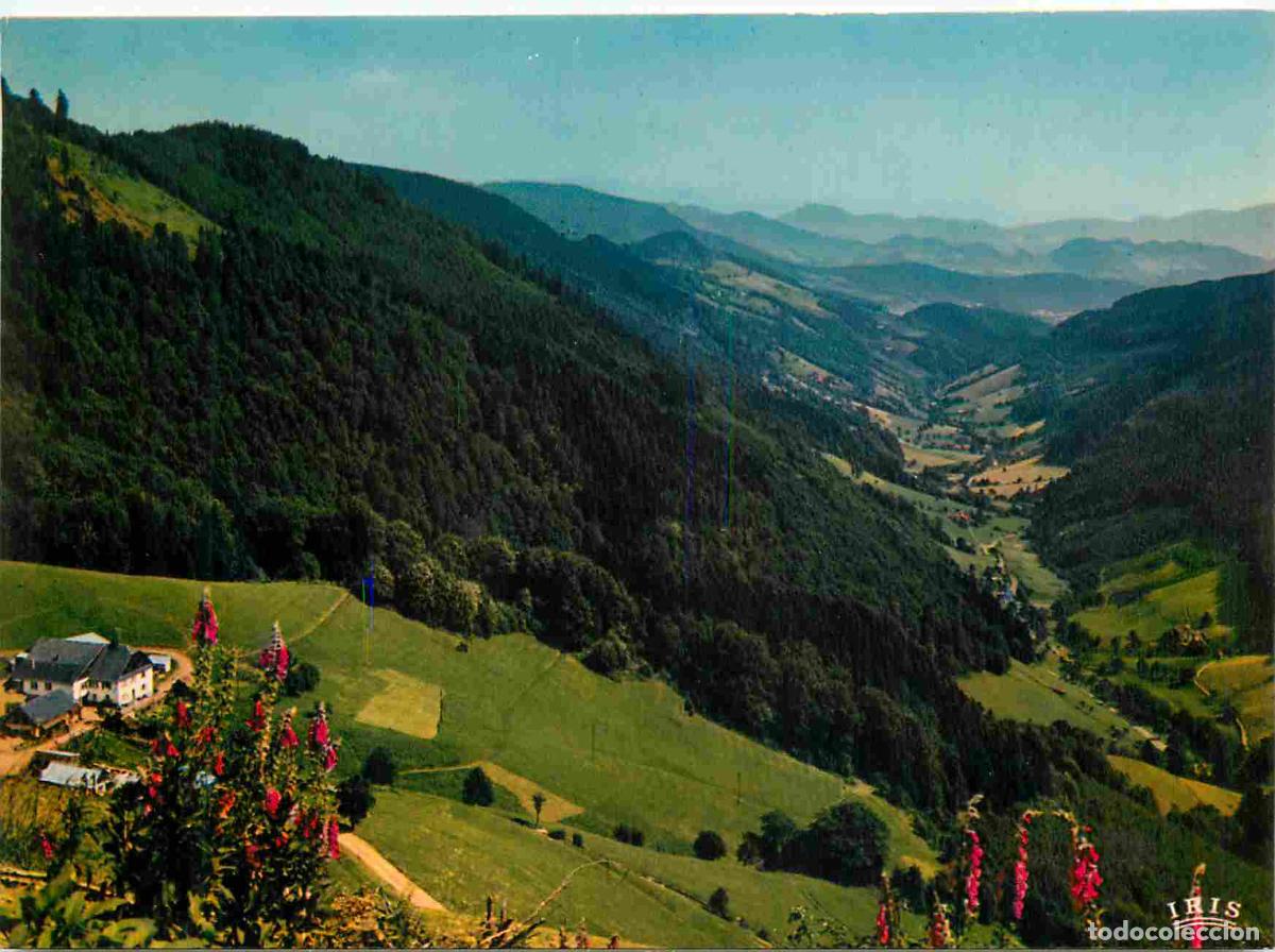 Cartoline: Francia - Carte Postale - 68 - Col des Bagenelles - La haute vallee de la Liepvrette depuis le Col d
