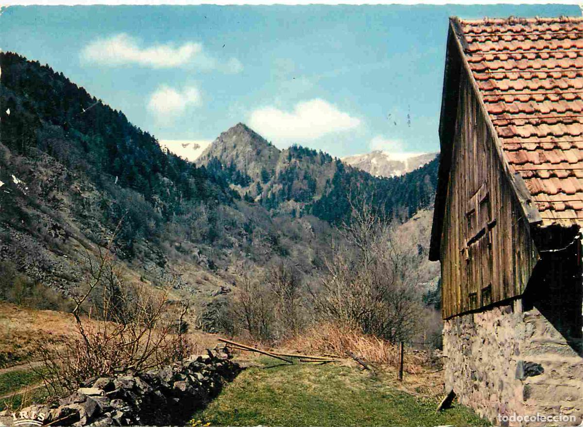 Cartoline: Francia - Carte Postale - 68 - Massif du Hohneck - alt 1 361 m - vall&eacute;e de la wormsa - CPM - Voir Sc