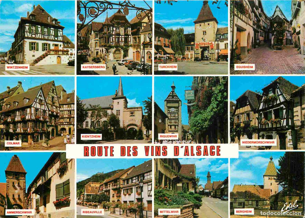 Postcards: Francia - Carte Postale - 67 - Alsace - Route des vins d'Alsace - Multivues - vignoble d'alsace ottr