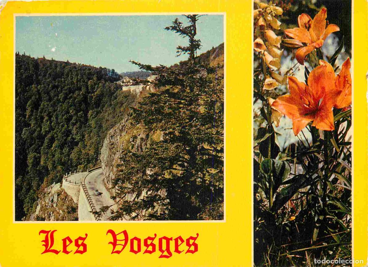 Postkarten: Francia - Carte Postale - 88 - Col de la schlucht - et la route de munster - Fleurs - CPM - Voir Sca