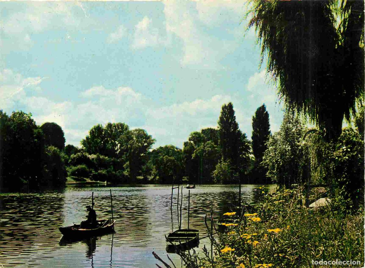 Postcards: Francia - Carte Postale - 94 - Champigny-sur-marne - Peche a la ligne sur les bords de marne - CPM -