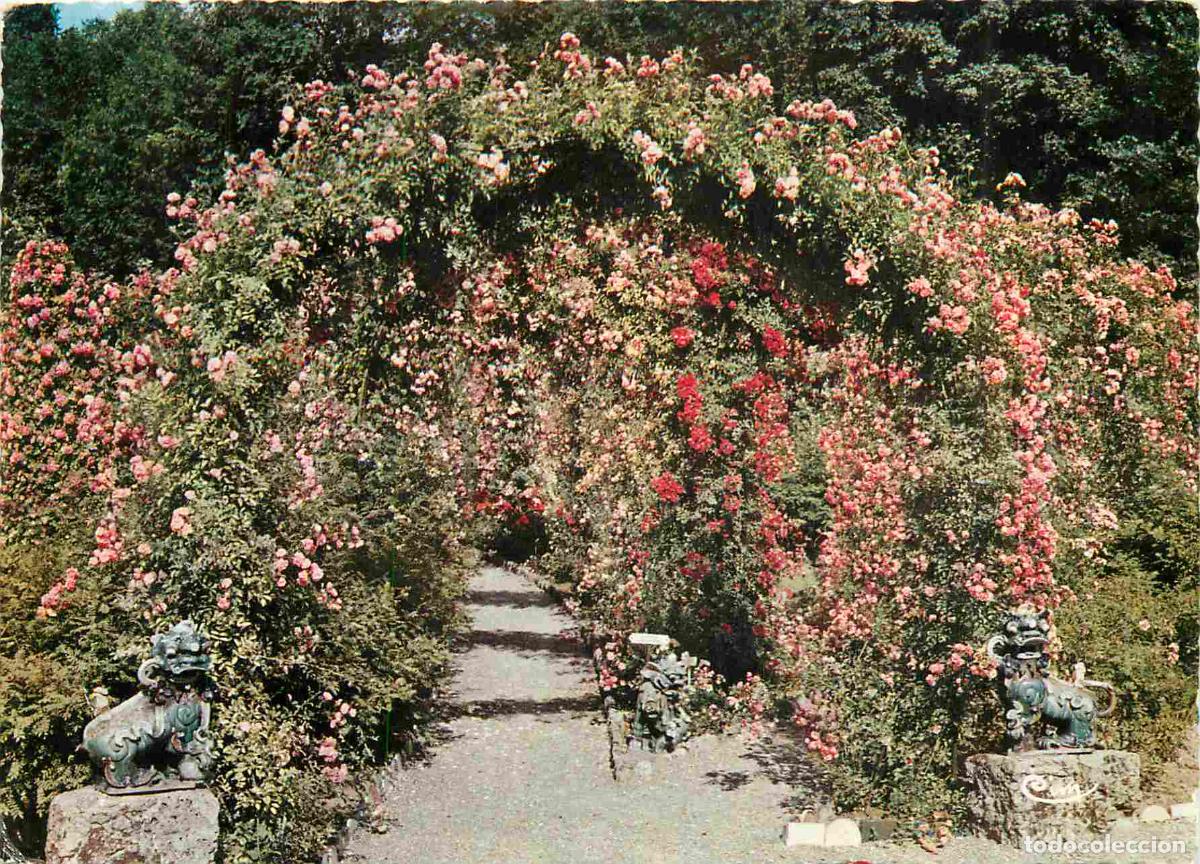 Postcards: Francia - Carte Postale - 94 - L hay-les-roses - La roseraie - Fleurs - Carte dentel&eacute;e - CPM - Voir