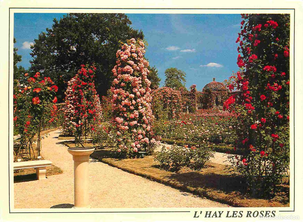 Postcards: Francia - Carte Postale - 94 - L'hay-les-roses - Sa roseraie son parc - Fleurs - CPM - Voir Scans Re