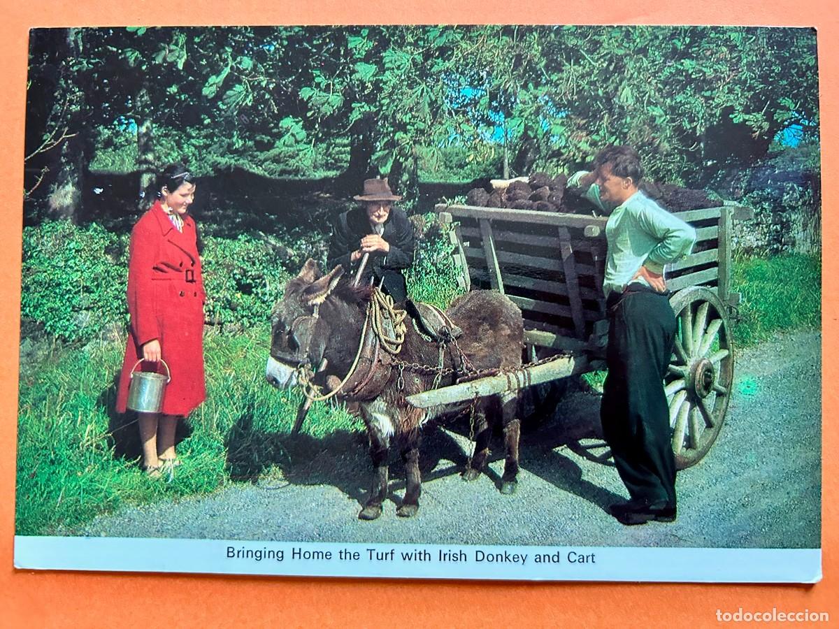 Postales: POSTAL EIRE IRELAND IRLANDA - BRINGING HOME THE TURF WITH IRISH DONKEY AND CART - CIRCULADA EN 1982