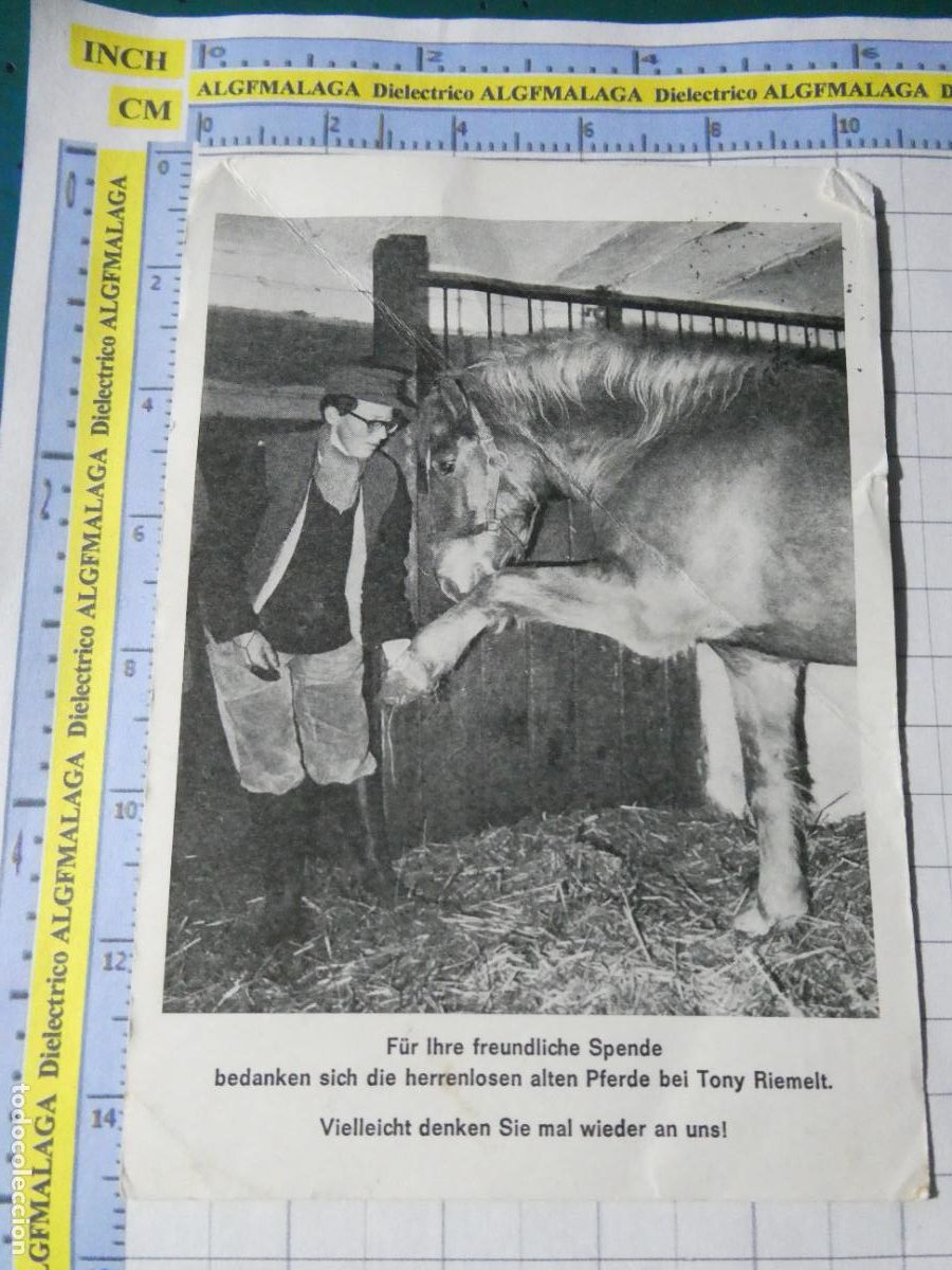 Postales: POSTAL DE ALEMANIA. CABALLO CENTRO ECUESTRE TONY RIEMELT . 4704