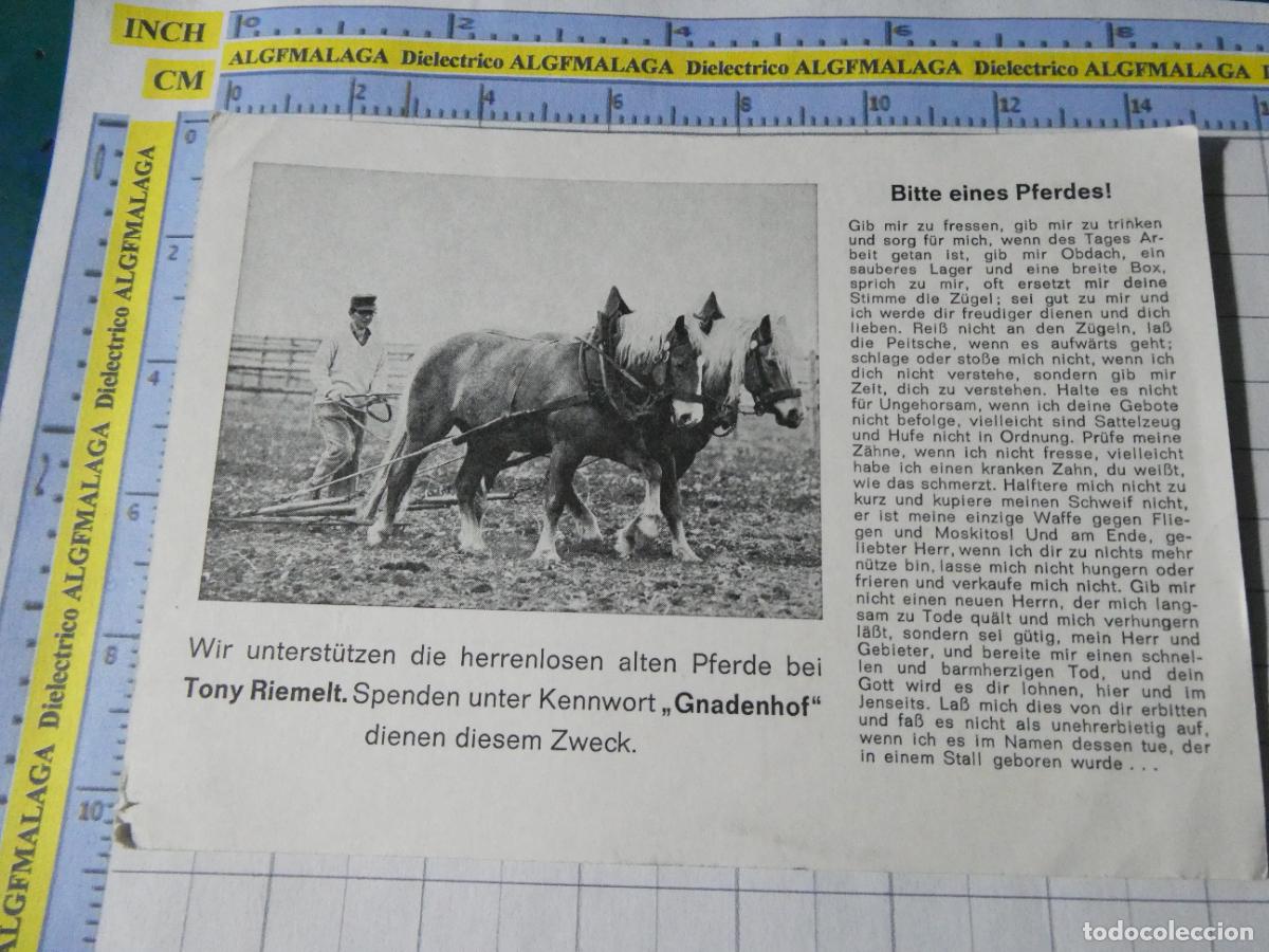 Postales: POSTAL DE ALEMANIA. CABALLO CENTRO ECUESTRE TONY RIEMELT PROTECCI&Oacute;N ANIMAL. 4705