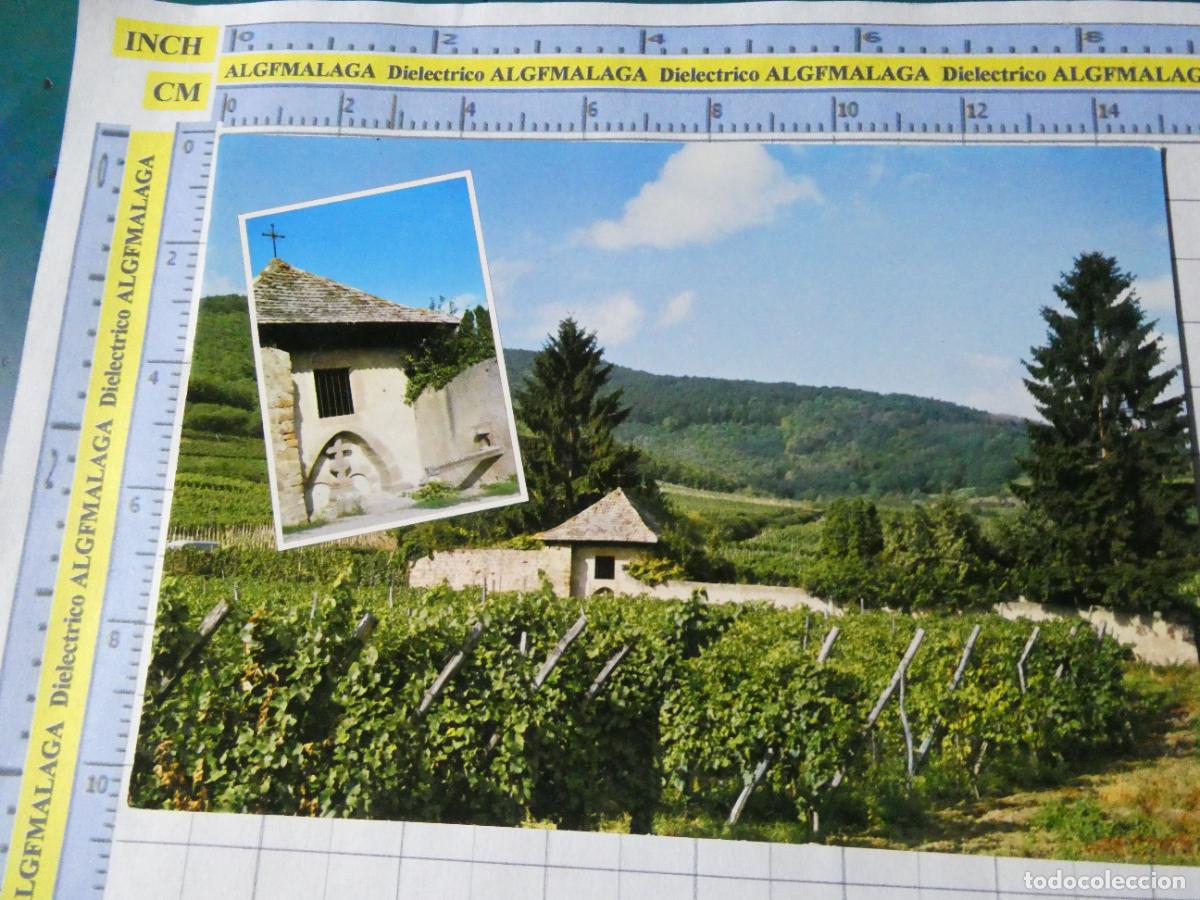 Postales: POSTAL DE FRANCIA. AMMERSCHWIHR CAPILLA ANTIGUA VIDES VI&Ntilde;EDOS. 4714