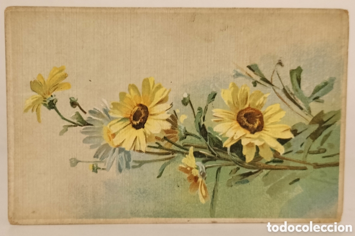 Postales: 7 antiguas postales,motivos florales y p&aacute;jaros