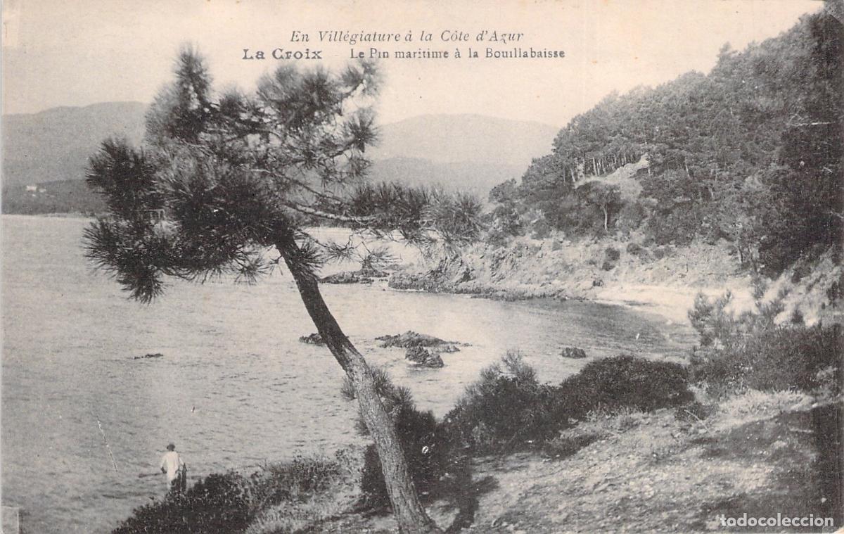 Postales: Postal de La Croix Costa Azul, Pino Mar&iacute;timo de La Bouillabaisse