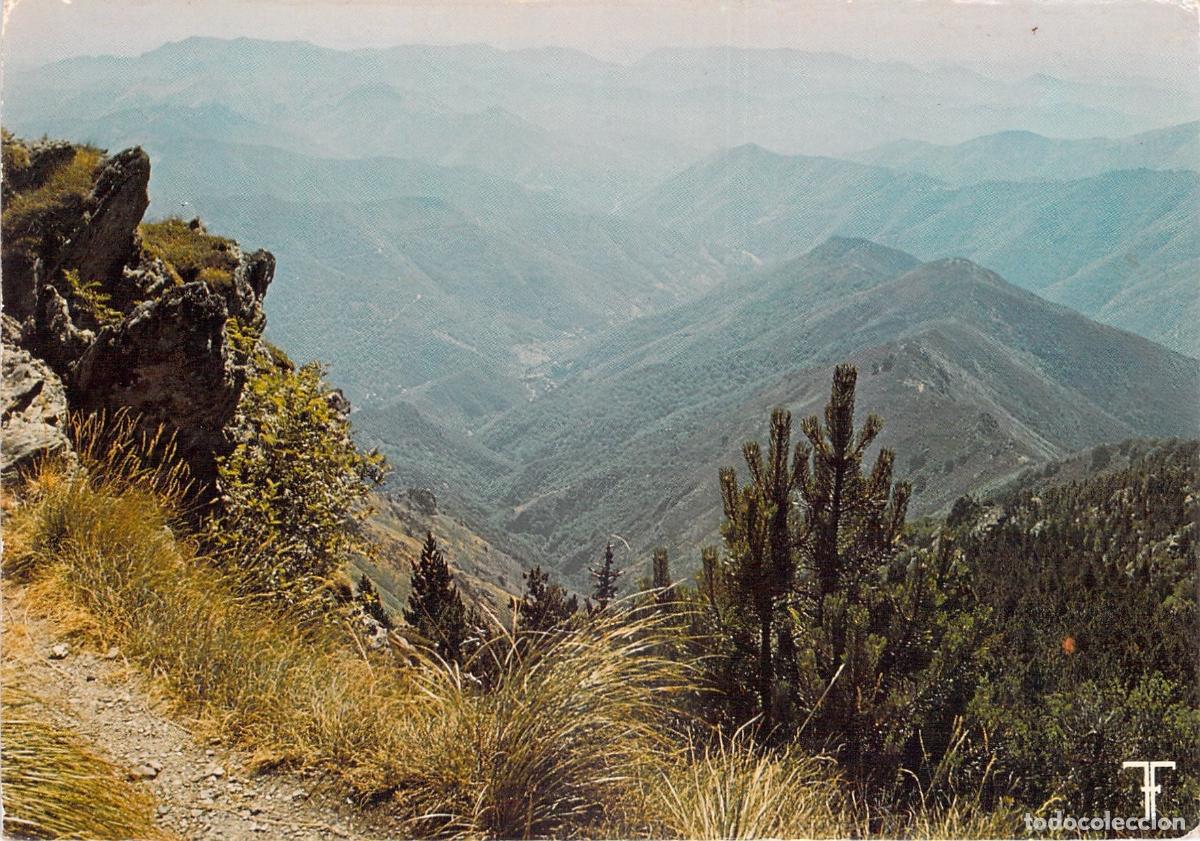Postales: Postal de Francia Mont Aigoual en Cevenas Vista hacia el Col du Pas