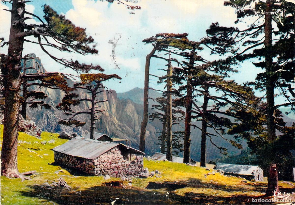 Postcards: Postal Col de Bavella C&oacute;rcega Francia Paisaje de Monta&ntilde;a