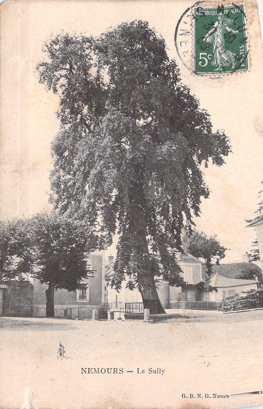 Postales: Postal Antigua de Nemours, El &Aacute;rbol de Sully, Francia