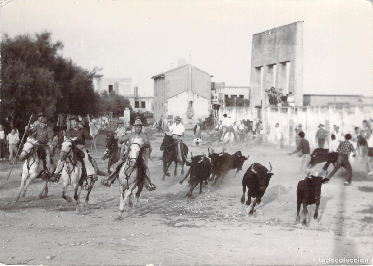 Postales: Postal Bandido de Saintes-Maries-de-la-Mer en Provenza
