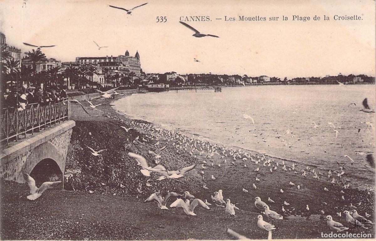 Postales: Postal Cannes Francia Playa de la Croisette y Gaviotas