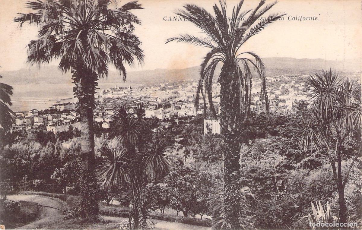 Postales: Postal Antigua de Cannes Vista desde La Californie con Palmeras