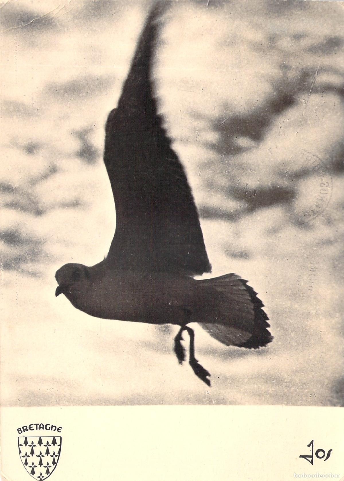 Postales: Postal de Breta&ntilde;a con Gaviota en Vuelo y Poema de R. Broudig