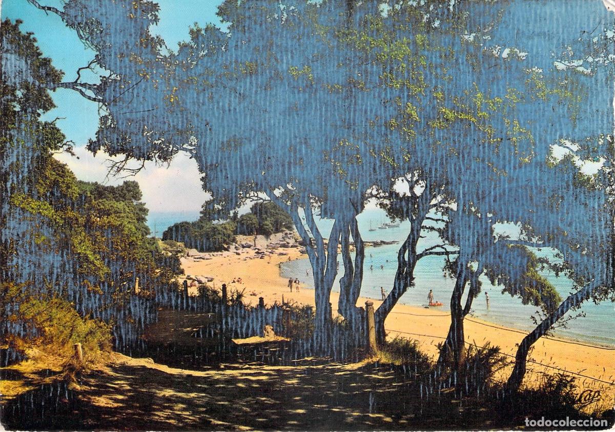 Postales: Postal de la Isla de Noirmoutier, Bois de la Chaize y Playa