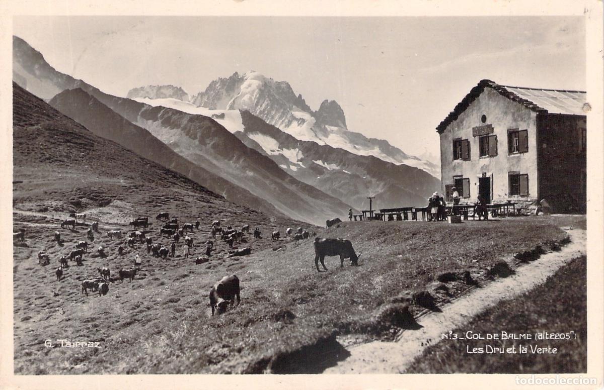 Postales: Postal de Col de Balme en Chamonix con Vacas y Refugio de Monta&ntilde;a