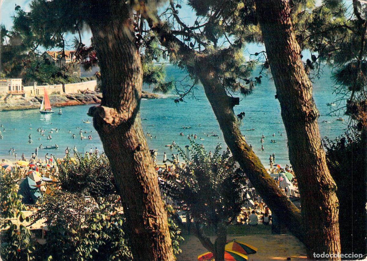 Postales: Postal de Saint-Palais-sur-Mer: La Playa a Trav&eacute;s de los Pinos