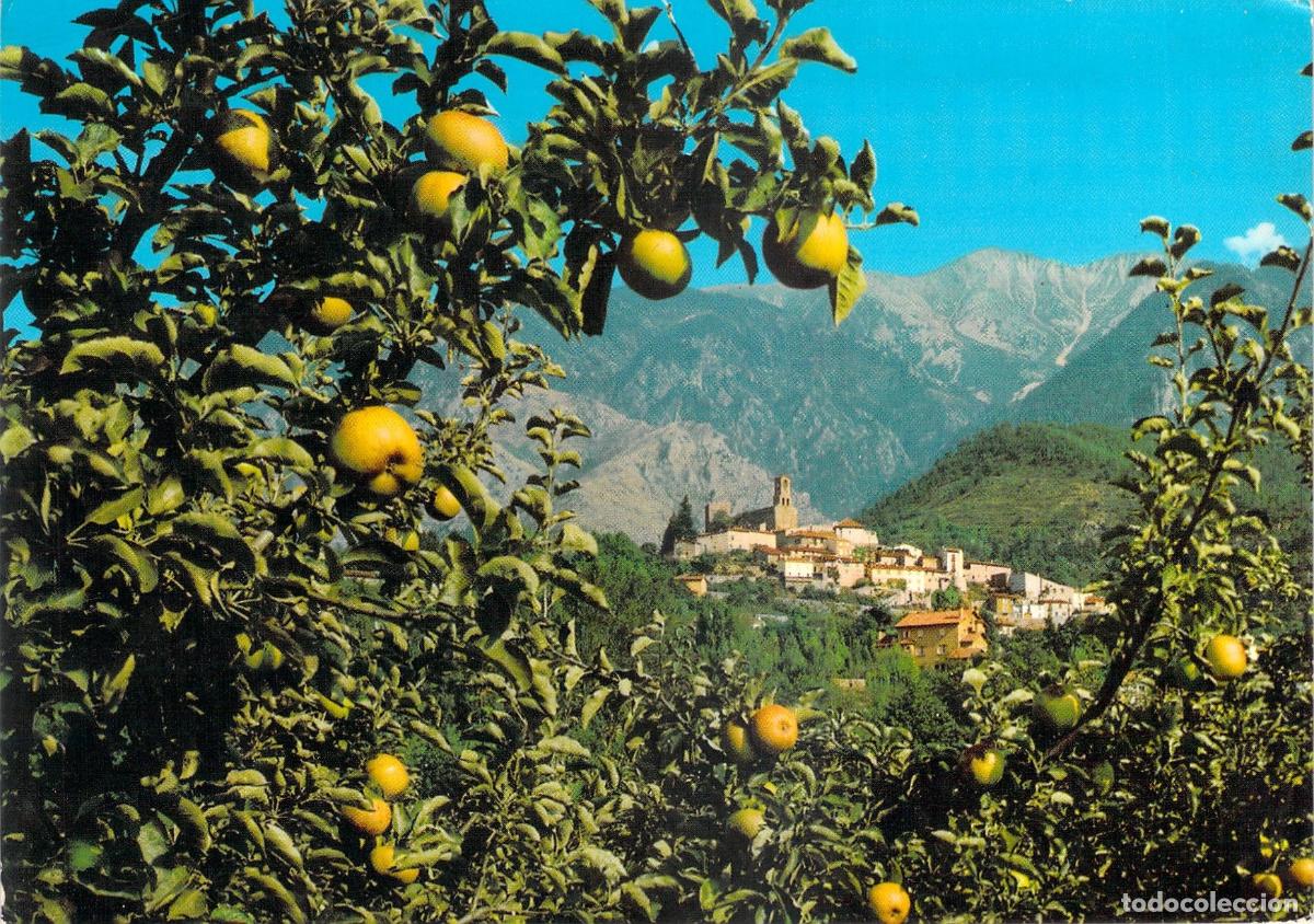 Postales: Postal de Vernet-les-Bains y el Canigou entre Manzanos