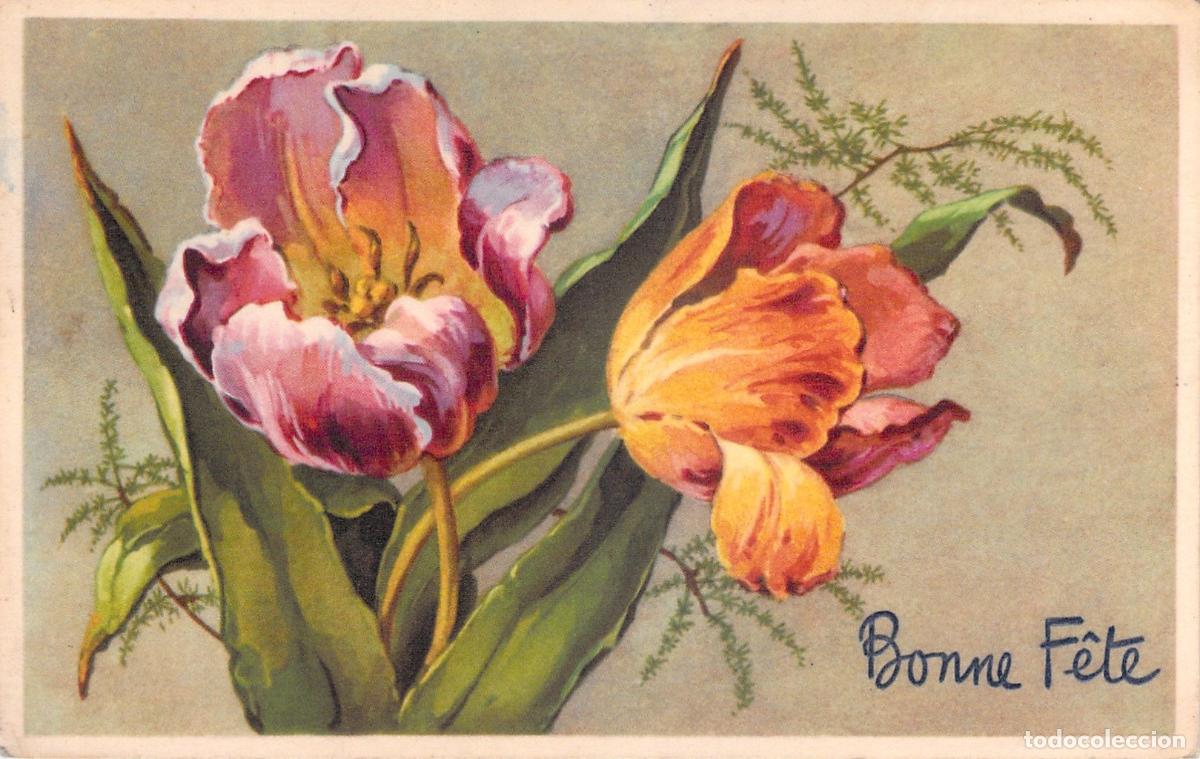Postales: Postal Ilustrada de Tulipanes con Mensaje Bonne F&ecirc;te