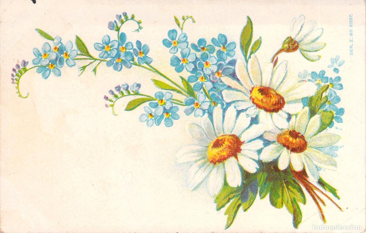 Postales: Postal Ilustrada con Ramo de Margaritas y Miosotis Bonne Ann&eacute;e