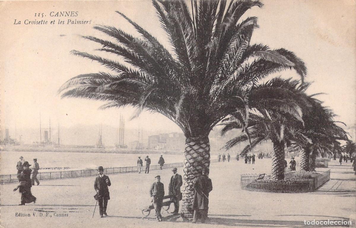 Postcards: Postal de Cannes La Croisette y las Palmeras