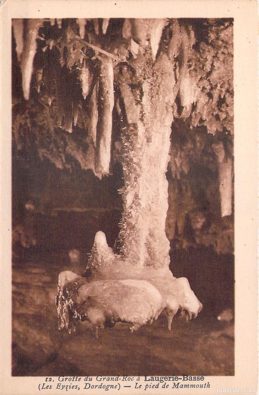 Cartoline: Postal de la Cueva Grotte du Grand-Roc en Dordogne Francia