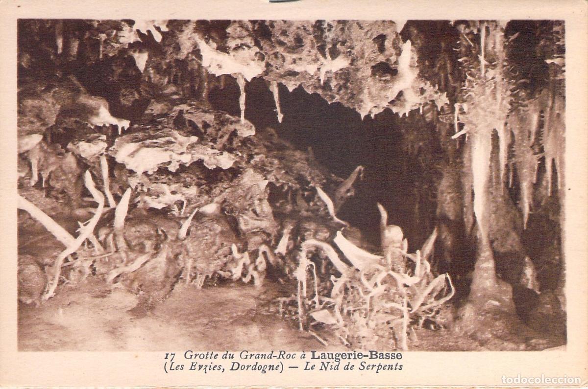 Cartoline: Postal de la Gruta del Grand-Roc en Dordogne Francia