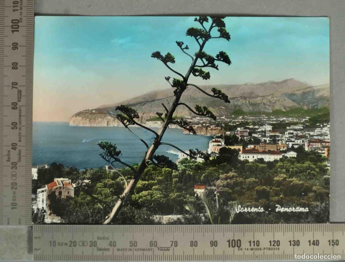 Postales: POSTAL. Sorrento - Panorama