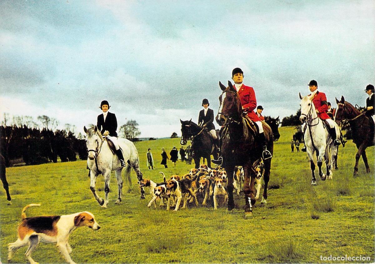 Postales: Postal Escena de Caza a Caballo Nach der Jagd Alemania