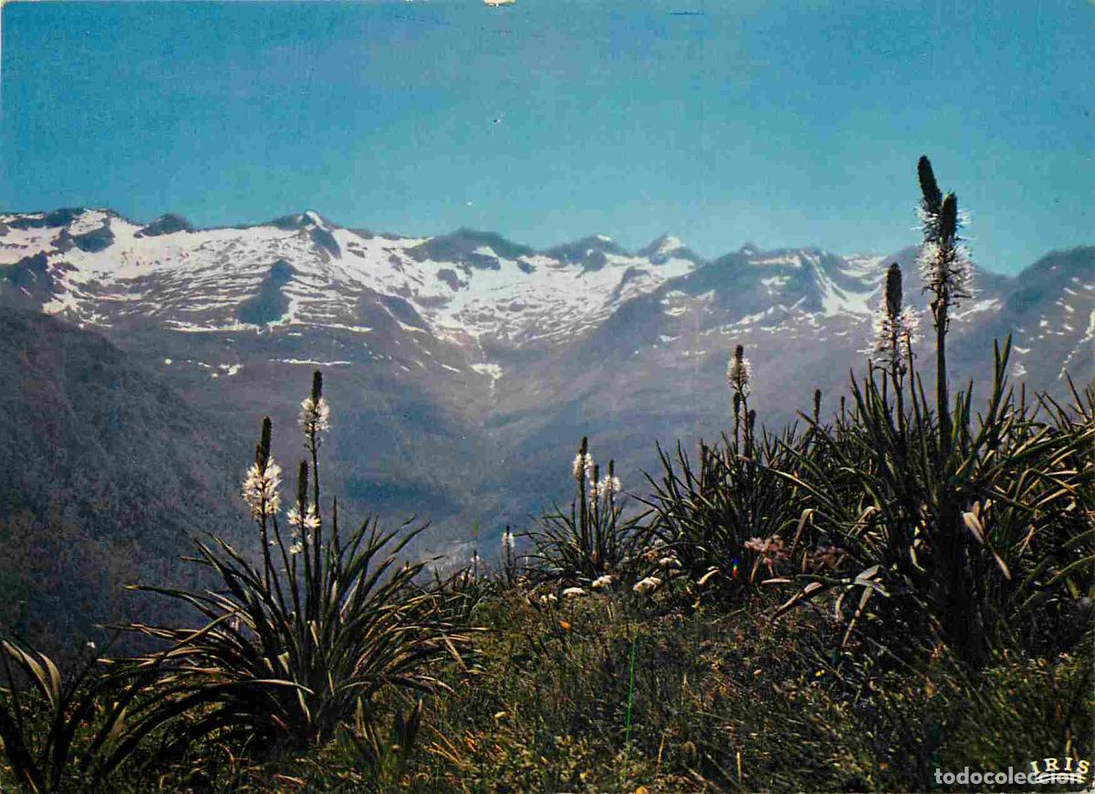 Cartes Postales: Francia - Carte Postale - 31 - Superbagneres - Les Crabioules et la vall&eacute;e du Lys - CPM - Voir Scans