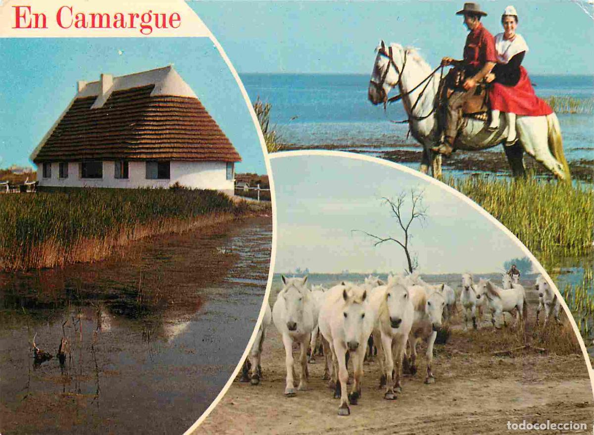 Postais: Francia - Carte Postale - 13 - Camargue - sc&egrave;nes camarguaises - Multivues - Chevaux - CPM - Voir Sca