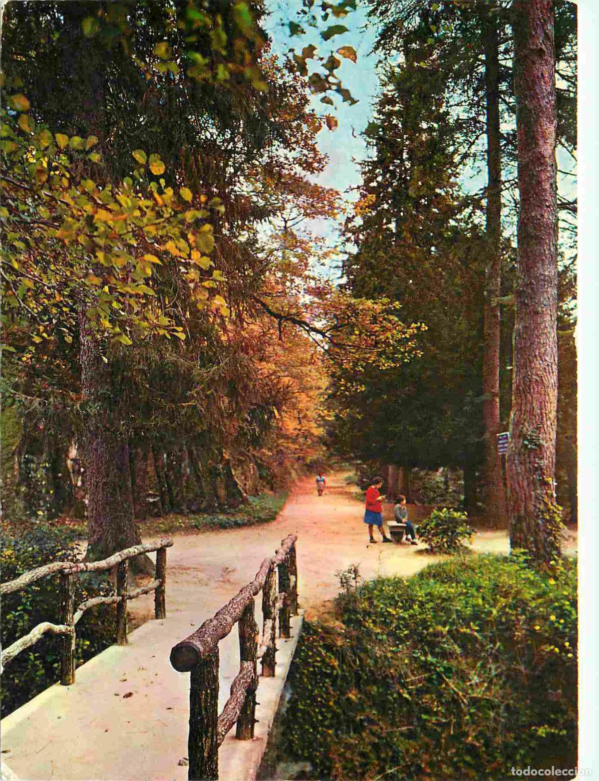 Postais: Francia - Carte Postale - 31 - Bassin de Saint ferreol - Dans la montagne noire bassin de saint ferr