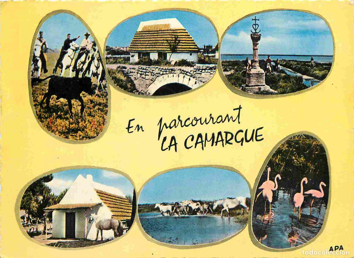 Cartes Postales: Francia - Carte Postale - 13 - Camargue - Multivues - Ferrade Cabane de gardians Croix des gardians