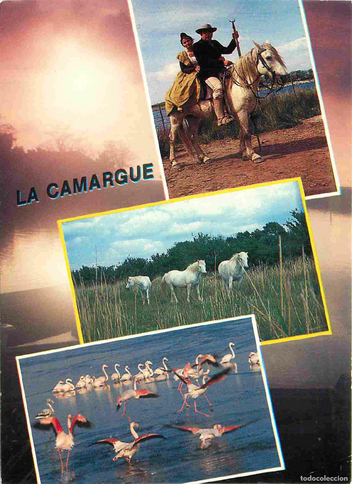 Cartes Postales: Francia - Carte Postale - 13 - Camargue - Multivues - Gardian et arl&eacute;sienne &agrave; cheval chevaux camargu