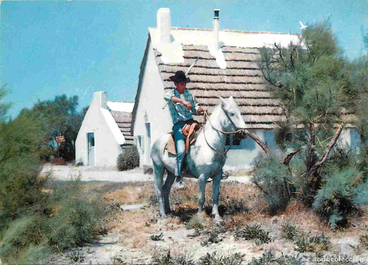 Postcards: Francia - Carte Postale - 13 - Camargue - Sc&egrave;ne en Camargue - Son &eacute;glise sa plage - Chevaux - Folklo